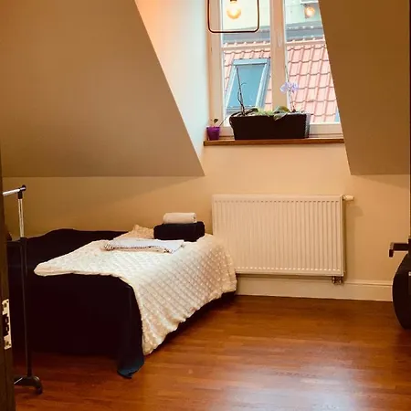 아파트 Pokoj W Apartamencie Na Starym Miescie 올슈틴